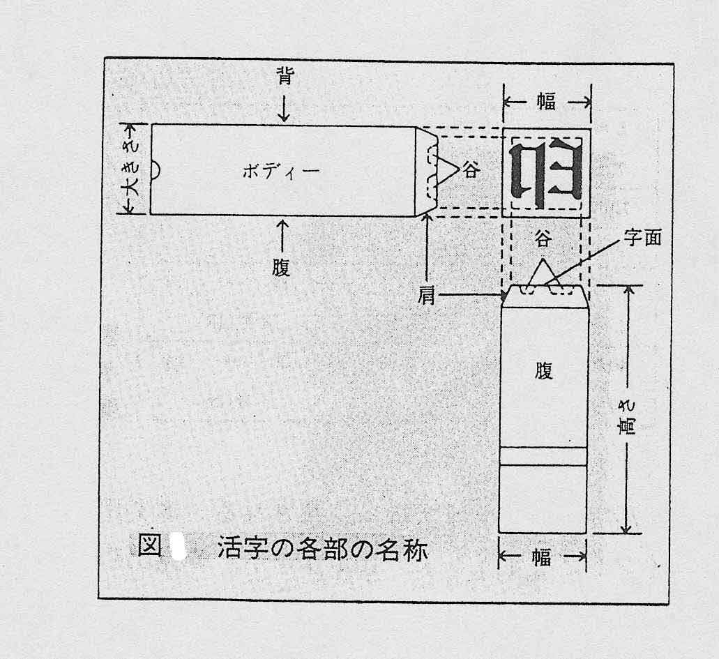 sawa23.jpg